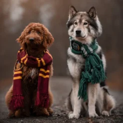 Harry Potter - Slytherin Strickschal grau-grün