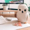 Hedwig Keksdose - Harry Potter