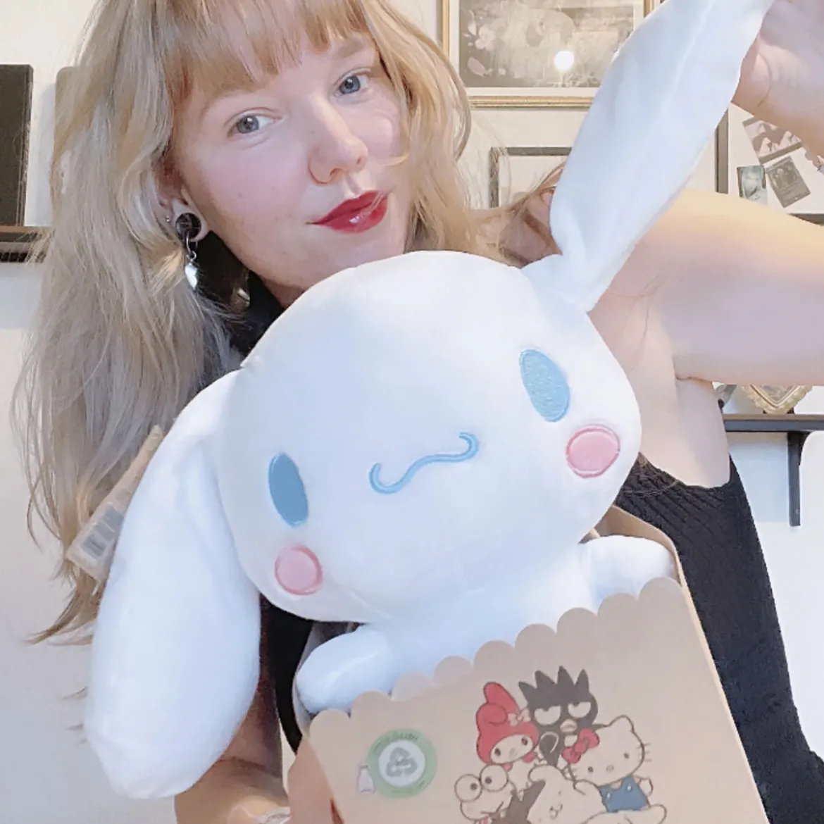 Hello Kitty and Frieds - Cinnamoroll Plüsch Figur