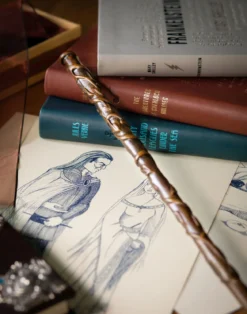 Hermine Granger Zauberstab
