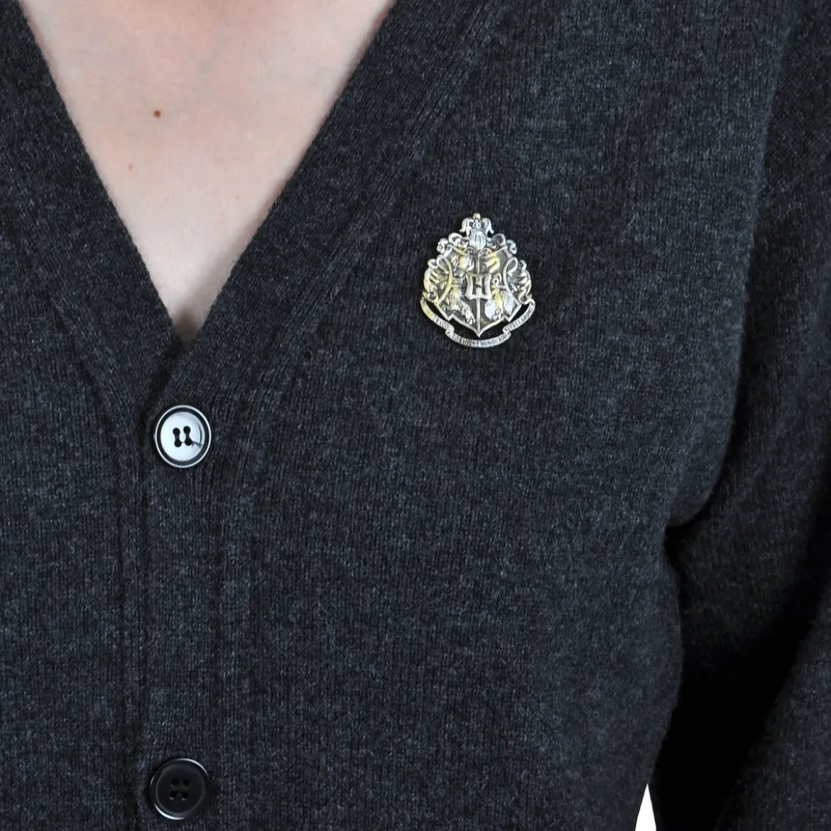 Hogwarts Anstecknadel