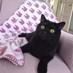 Kikis kleiner Lieferservice - Jiji Silhouette Flauschdecke mit Teddyfell