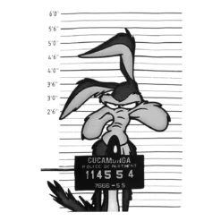 Looney Tunes - Wile E. Coyote Mugshot T-Shirt weiß
