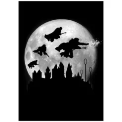 Magic Flight at Night Metall Poster für Harry Potter Fans