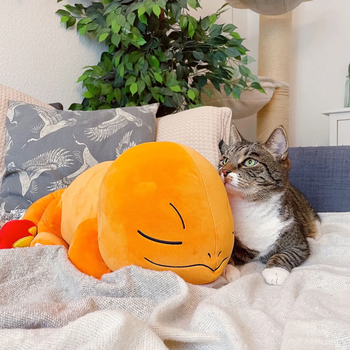 Pokemon - Glumanda Plüsch Figur schlafend
