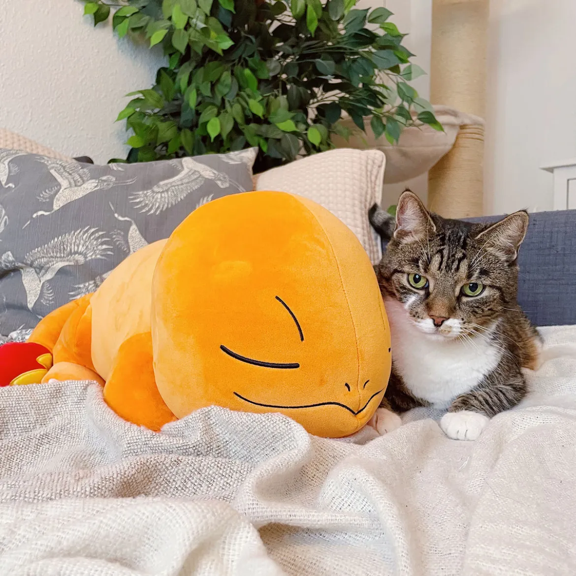 Pokemon - Glumanda Plüsch Figur schlafend