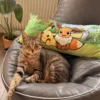 Pokemon - Pikachu und Evoli Kissen