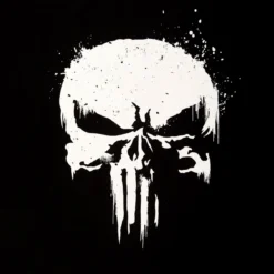 Punisher - Skull Logo T-Shirt mit Ärmelprint schwarz