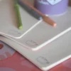 Pusheen - Moments Notizbücher 3er Set