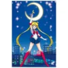 Sailor Moon - Characters Maxi Poster