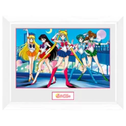 Sailor Moon - Group Wandbild