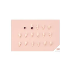 Sousai Shojo Teien Plastic Model Kit 1/10 Little Devil Twin