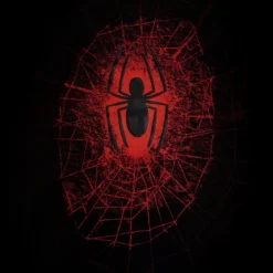 Spider-Man - Spider Web T-Shirt schwarz