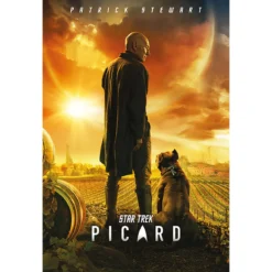 Star Trek - Picard Maxi Poster
