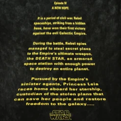 Star Wars - Logo T-Shirt grau
