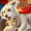 Superman (2025) DC Comics Kunstdruck Superman: A Symbol of