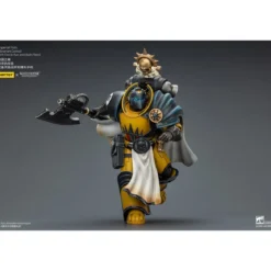 Warhammer Imperial Fists Actionfigur Librarian Consulwith
