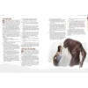 Werewolf: The Apocalypse 5th Edition RPG Buch Scent of