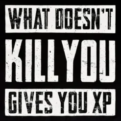What Doesn't Kill You Gives You XP T-Shirt schwarz