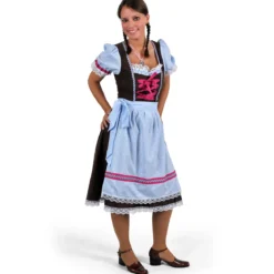 Wiesn Dirndl