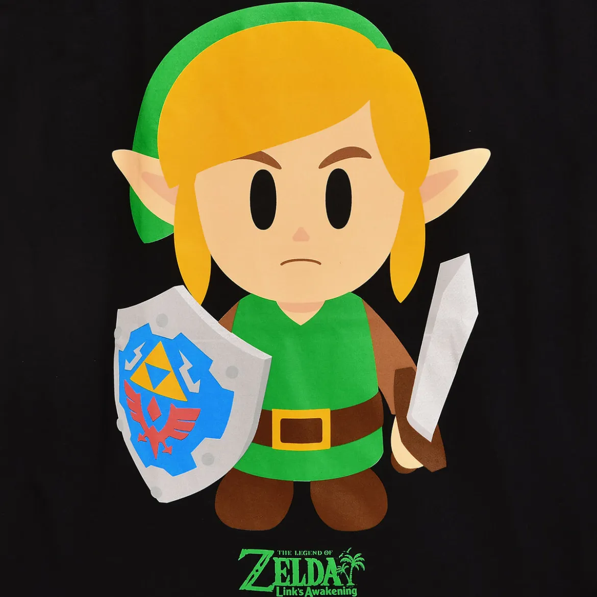Zelda - Link's Awakening T-Shirt schwarz